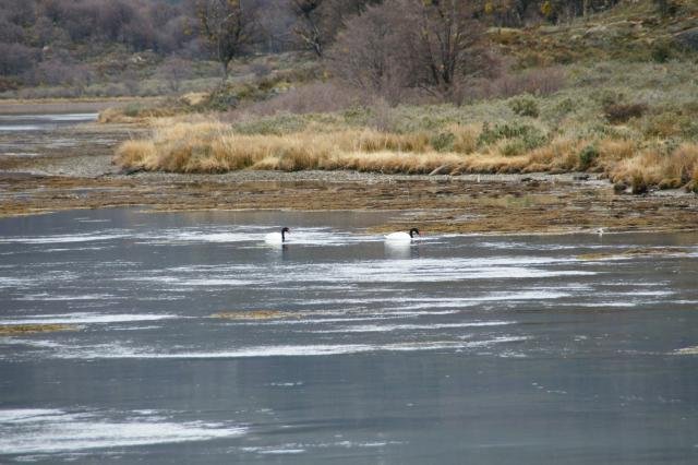 Urlaub in Südamerika 2011